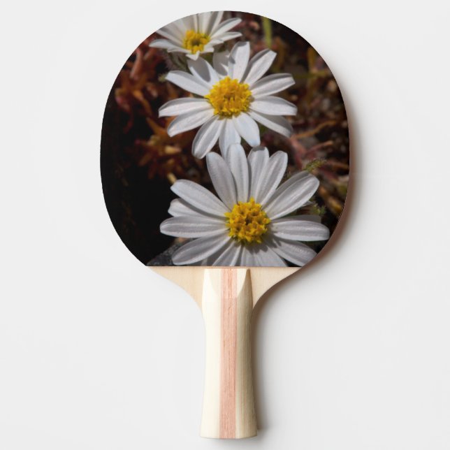Desert Star Wildflowers Ping-Pong Paddle (Front)