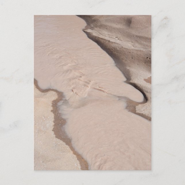 Desert Stream Postcard (Front)