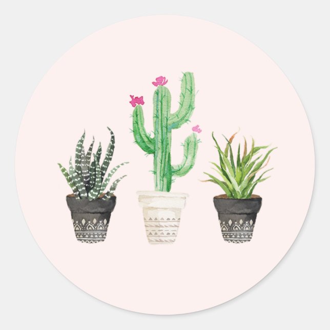 Desert Succulent Cactus Favor Stickers - Pink (Front)