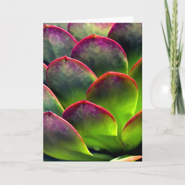 Desert Succulent in Bright Sun and Shade Card (Front)