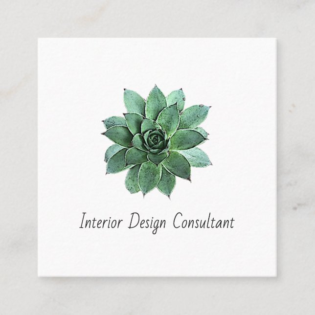 Desert Succulent QR code Interior Designer  Square Business Card (Front)