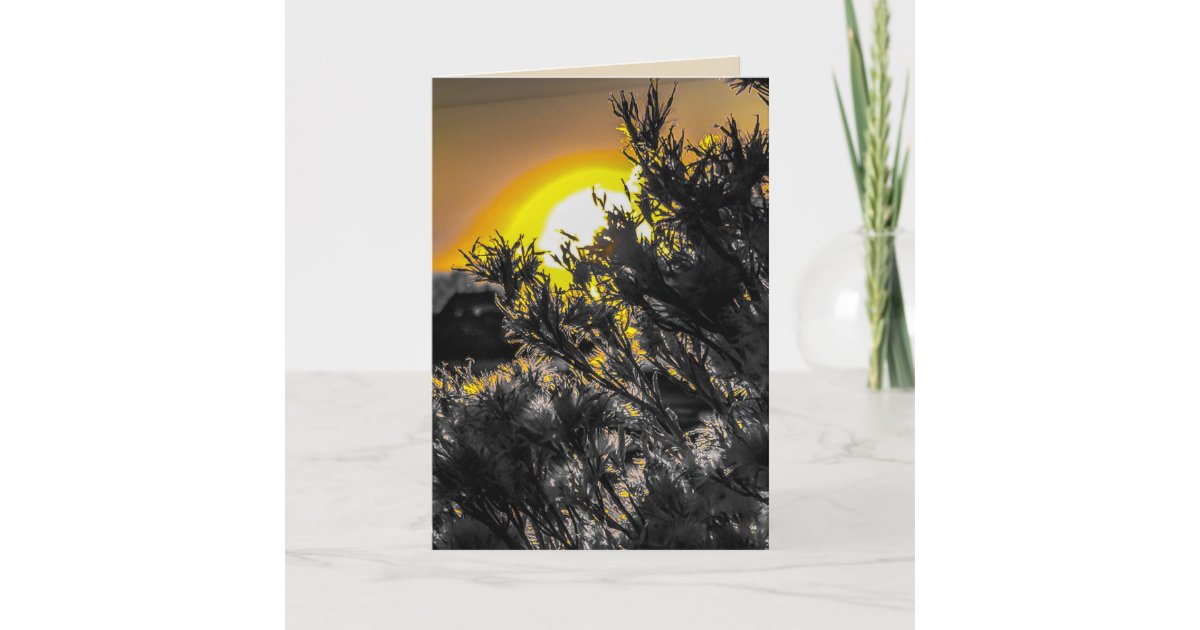 Desert Sunset Blank Greeting Card | Zazzle