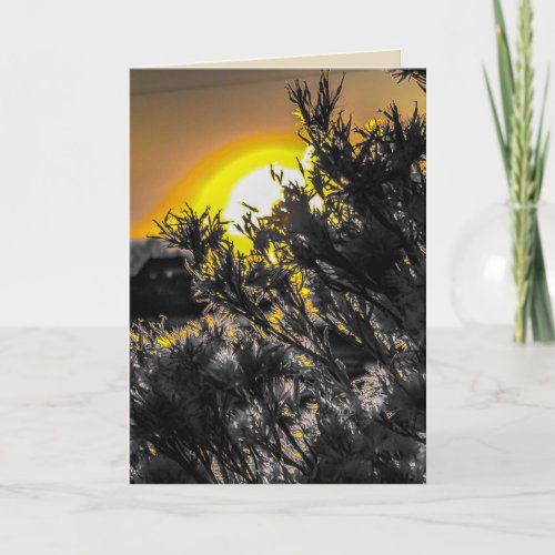 Desert Sunset Blank Greeting Card