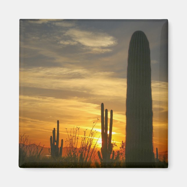 desert sunset magnet (Front)
