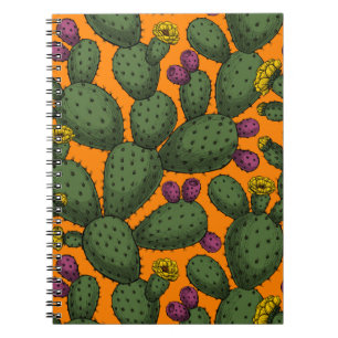 Desert sunset notebook