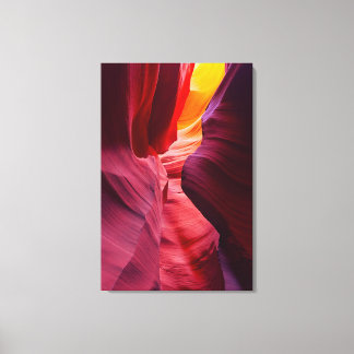 Desert Symphony Canvas Print