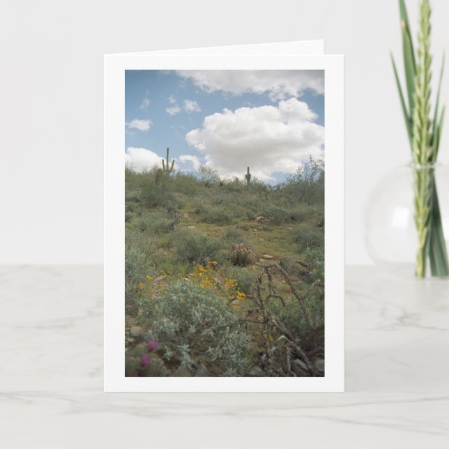 Desert Symphony Greeting Cards or Note Cards (Front)