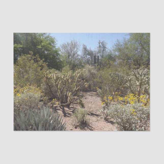 Desert Tissue Paper (Front)