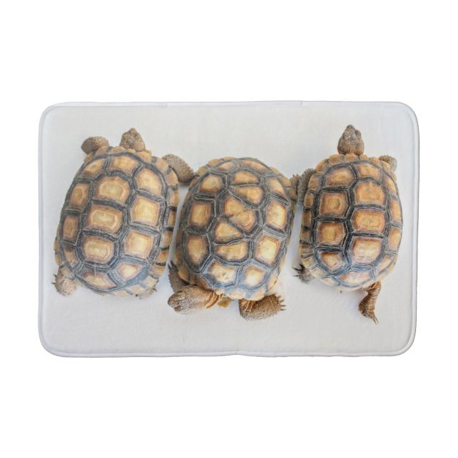 Desert tortoise bath mat (Front)