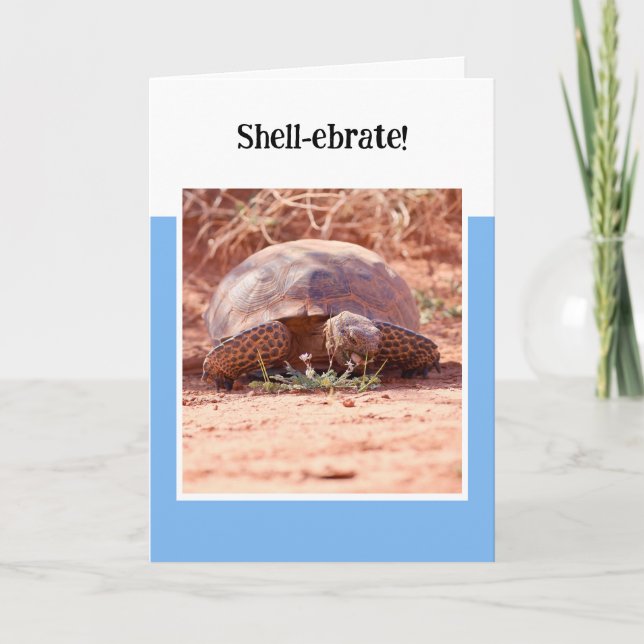 Desert Tortoise Folded Birthday Card (Front)
