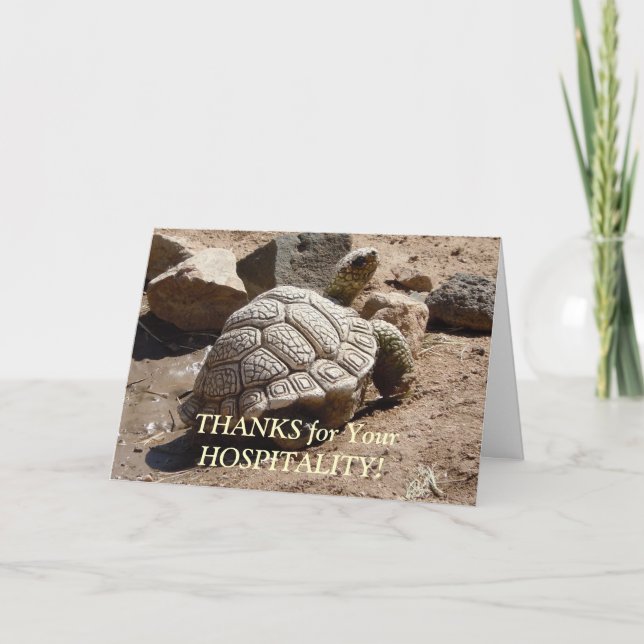 Desert Tortoise - Hospitality Thank You (Front)