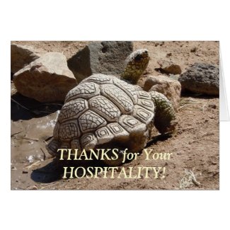 Desert Tortoise - Hospitality Thank You Cards