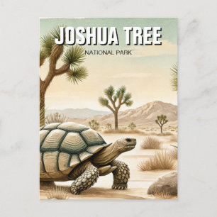 Desert Tortoise in Joshua Tree National Park Postcard