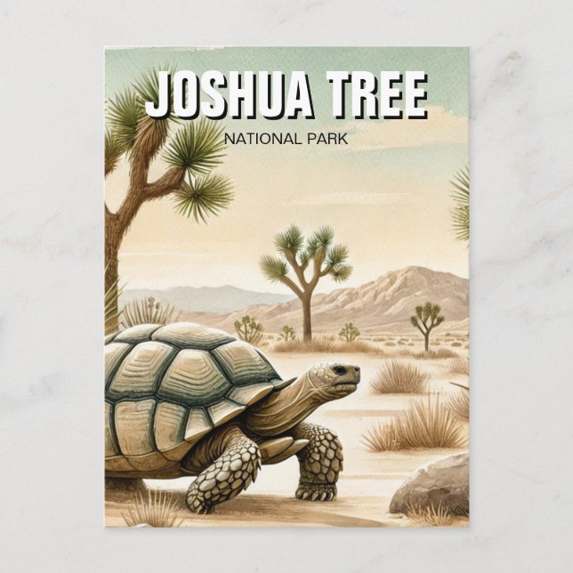 Desert Tortoise in Joshua Tree National Park Postcard (Front)