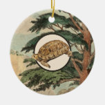 Desert Tortoise In Natural Habitat Illustration Ceramic Ornament at Zazzle