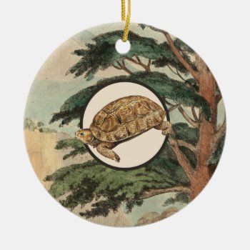 Desert Tortoise In Natural Habitat Illustration Ceramic Ornament by Wildlifey at Zazzle