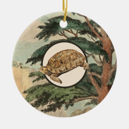 Desert Tortoise In Natural Habitat Illustration Ceramic Ornament