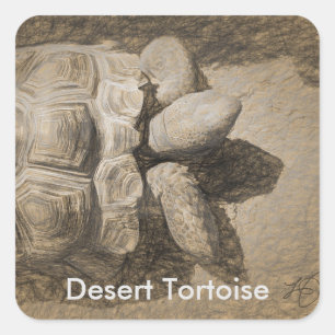 Desert Tortoise Stickers