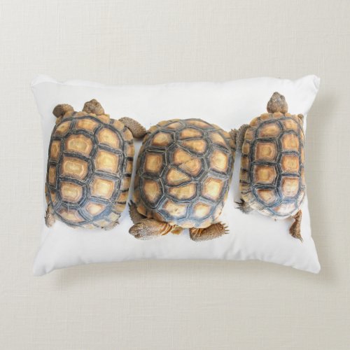Desert Tortoise  Turtle Pillow