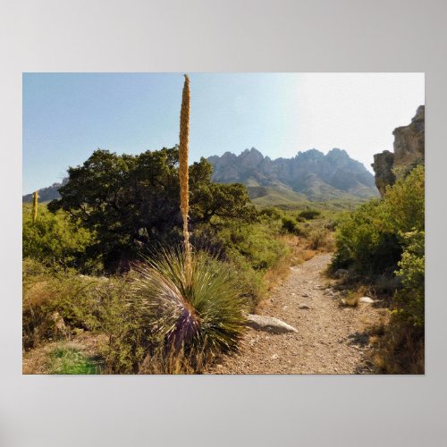 desert trail with yucca and mountains poster