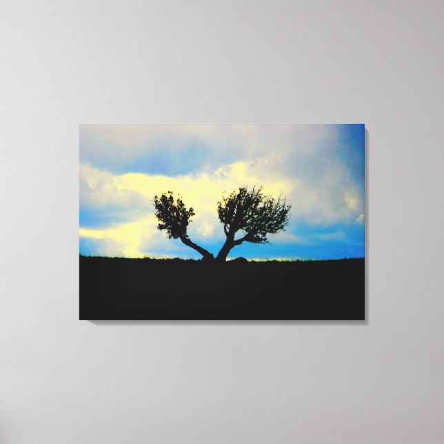 desert trees in arizona wrapped canvas print (Front)