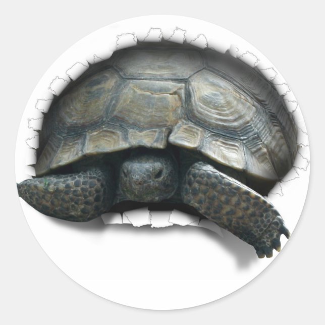 DESERT TURTLE,  COMING AT YA CLASSIC ROUND STICKER (Front)