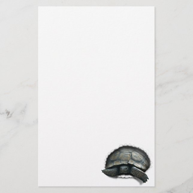 Desert Turtle Coming Out Stationery (Front)
