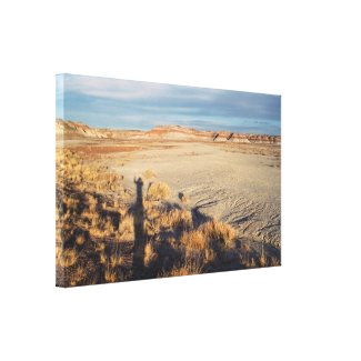 Desert Wave: Petrified Forest National Park Canvas Print