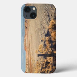 Desert Wave: Petrified Forest National Park iPhone 13 Case