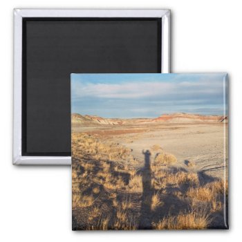 Desert Wave: Petrified Forest National Park Photo Magnet by RocklawnArts at Zazzle
