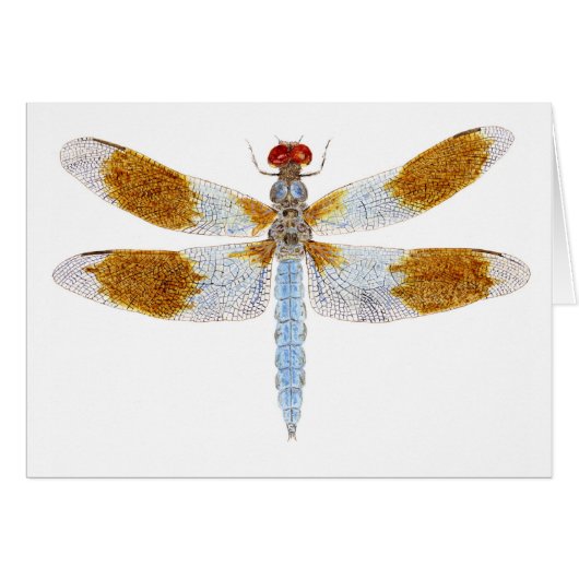 Desert Whitetail Dragonfly Cards (Front Horizontal)