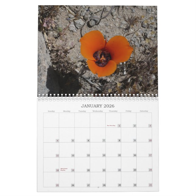 Desert Wildflowers Calander Calendar (Jan 2026)