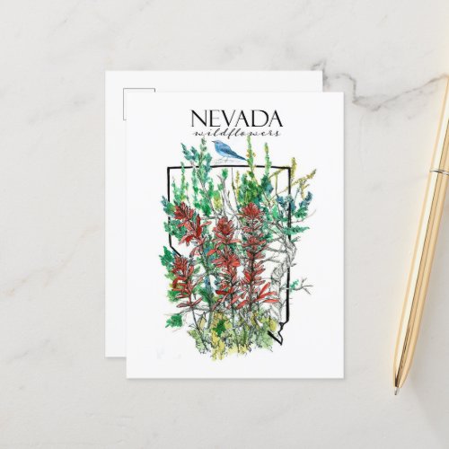 Desert Wildflowers Nevada Indian Paintbrush Postcard