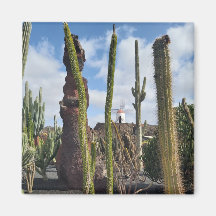 “Desert Windmill and Cactus” Magnet