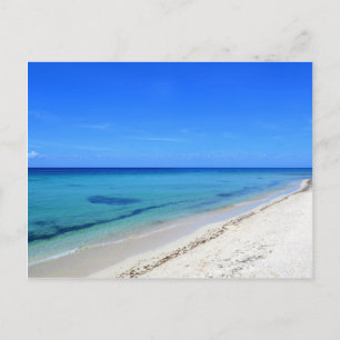 Deserted Cosumel Beach Calm Teal Water White Sand Postcard