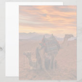 Deserts | Bactrian Camel Egypt Sand Dune (Front/Back)
