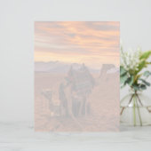 Deserts | Bactrian Camel Egypt Sand Dune (Standing Front)