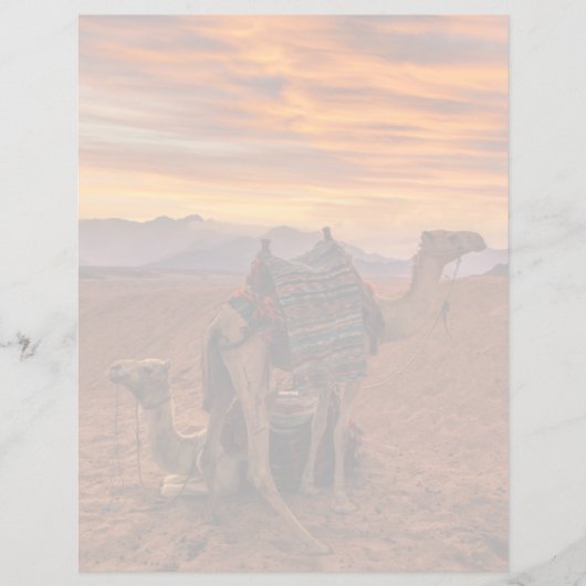 Deserts | Bactrian Camel Egypt Sand Dune (Front)