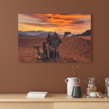 Deserts | Bactrian Camel Egypt Sand Dune Canvas Print by intothewild at Zazzle