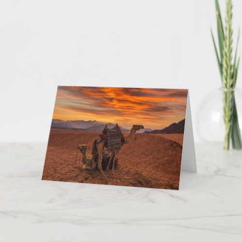 Deserts  Bactrian Camel Egypt Sand Dune Card