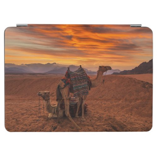 Deserts  Bactrian Camel Egypt Sand Dune iPad Air Cover