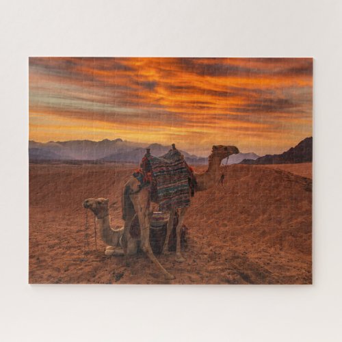 Deserts  Bactrian Camel Egypt Sand Dune Jigsaw Puzzle
