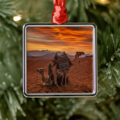 Deserts  Bactrian Camel Egypt Sand Dune Metal Ornament