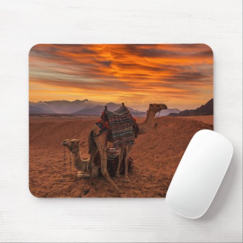 Deserts  Bactrian Camel Egypt Sand Dune Mouse Pad