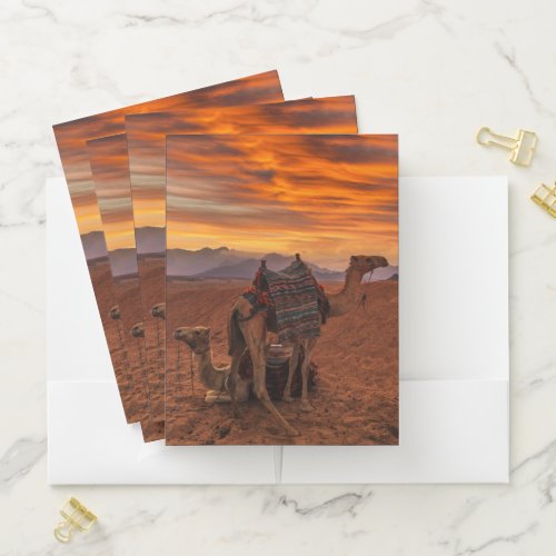 Deserts  Bactrian Camel Egypt Sand Dune Pocket Folder