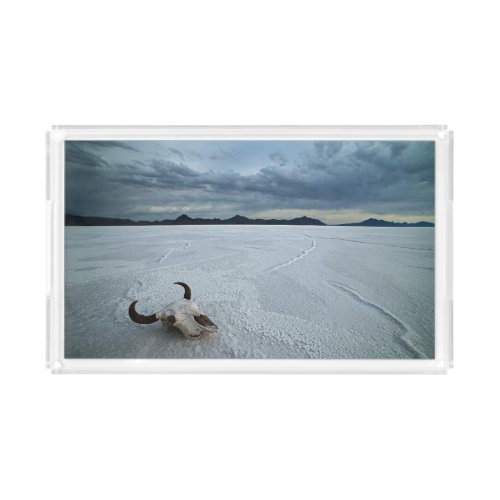 Deserts  Bonneville Salt Flats Utah Acrylic Tray