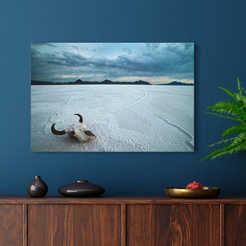 Deserts  Bonneville Salt Flats Utah Canvas Print