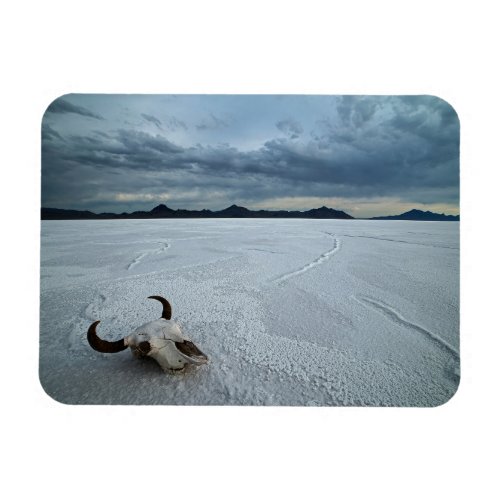 Deserts  Bonneville Salt Flats Utah Magnet