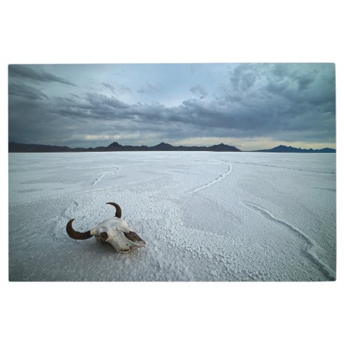 Deserts  Bonneville Salt Flats Utah Metal Print