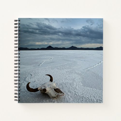 Deserts  Bonneville Salt Flats Utah Notebook
